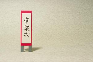 競馬学校におけるジュニアチームとは