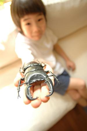 錦糸町で見つける！ミュージカル体験とレッスンの魅力を徹底解説